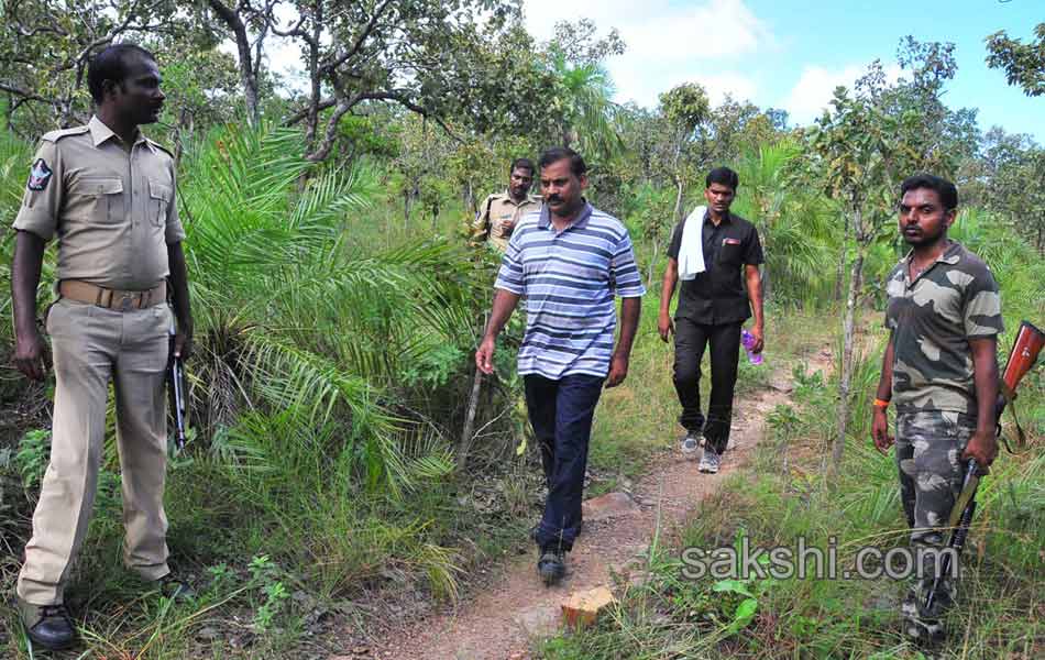 Erracandanam smugglers in seshachalam forest4