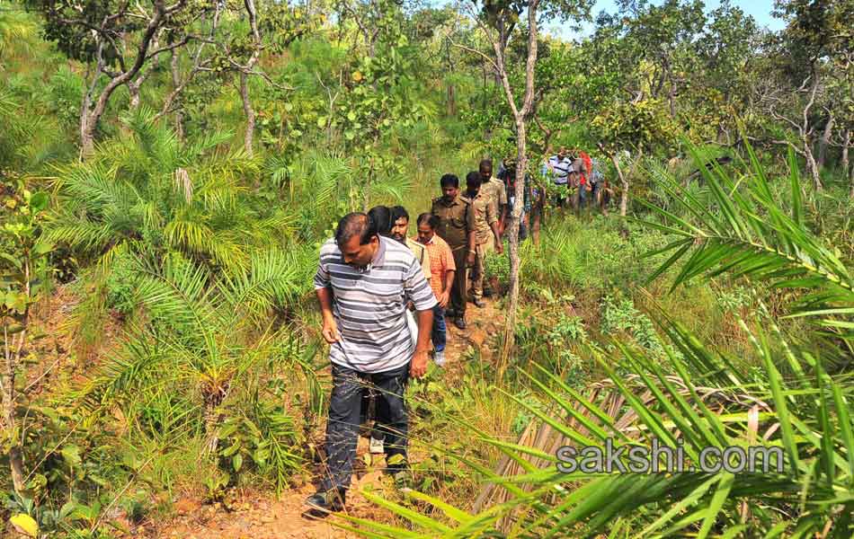 Erracandanam smugglers in seshachalam forest10