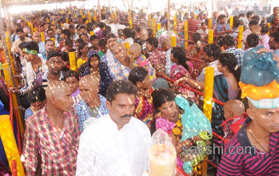 grand lunch to medaram jatara18