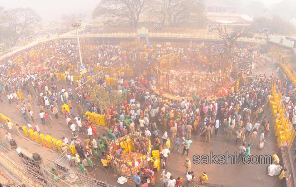 grand lunch to medaram jatara22