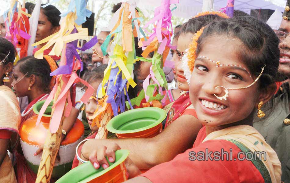 Lepakshi fete off to a colourful start11