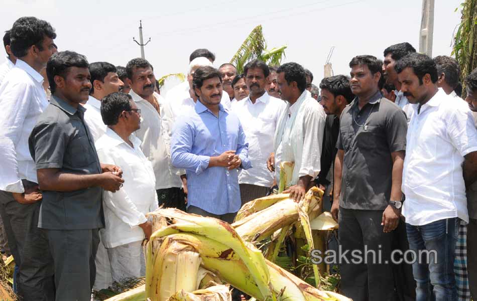 ys jaganmohan reddy tour in  pulivendula - Sakshi12