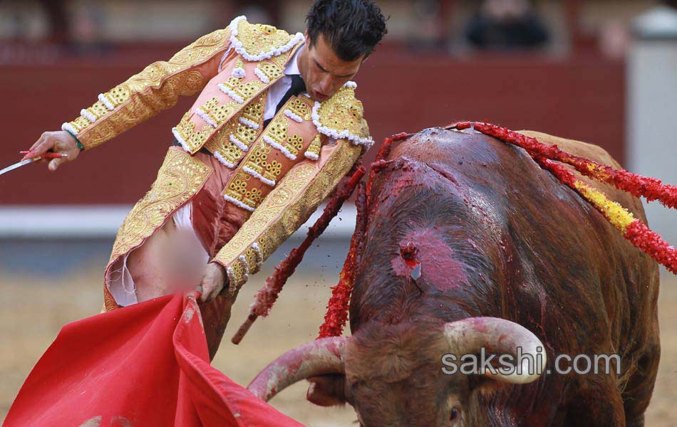 Bull fighting4