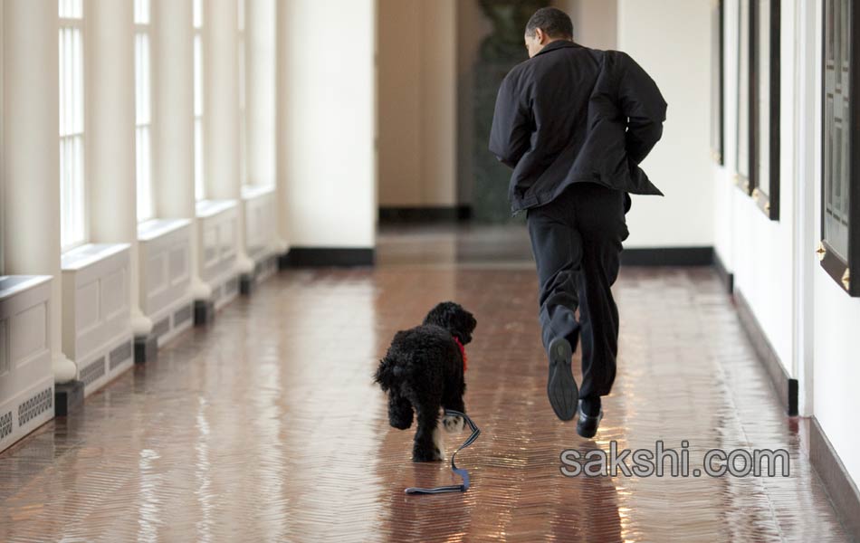 The nine most touching photos from Barack Obamas eight years as president2