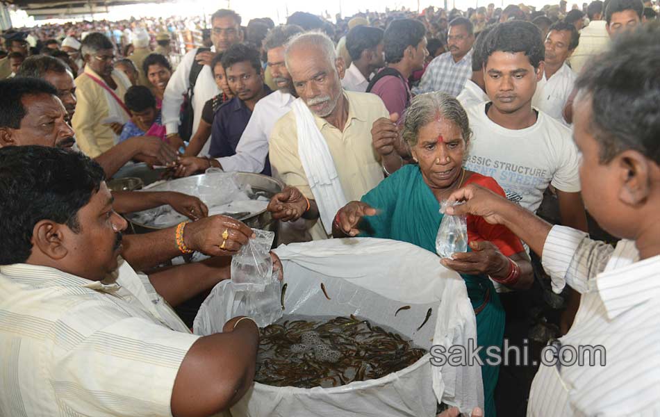 Thousands of asthma patients take fish prasadam in Hyderabad2