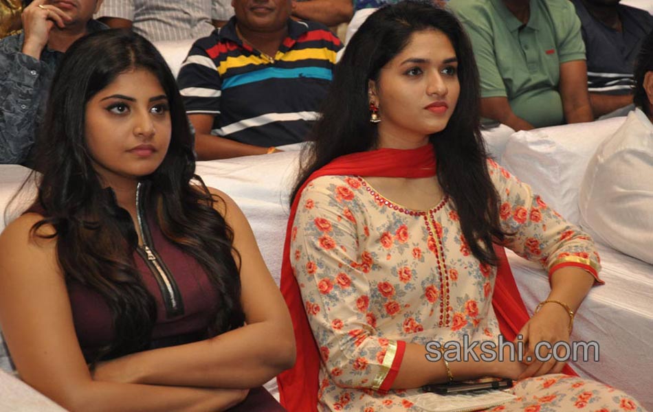 sahasam swasaga sagipo audio launch - Sakshi16