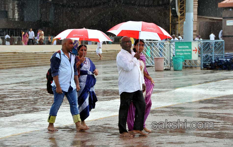 tirumala hevy rain7