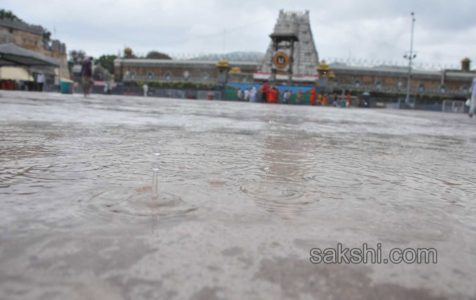 tirumala hevy rain9