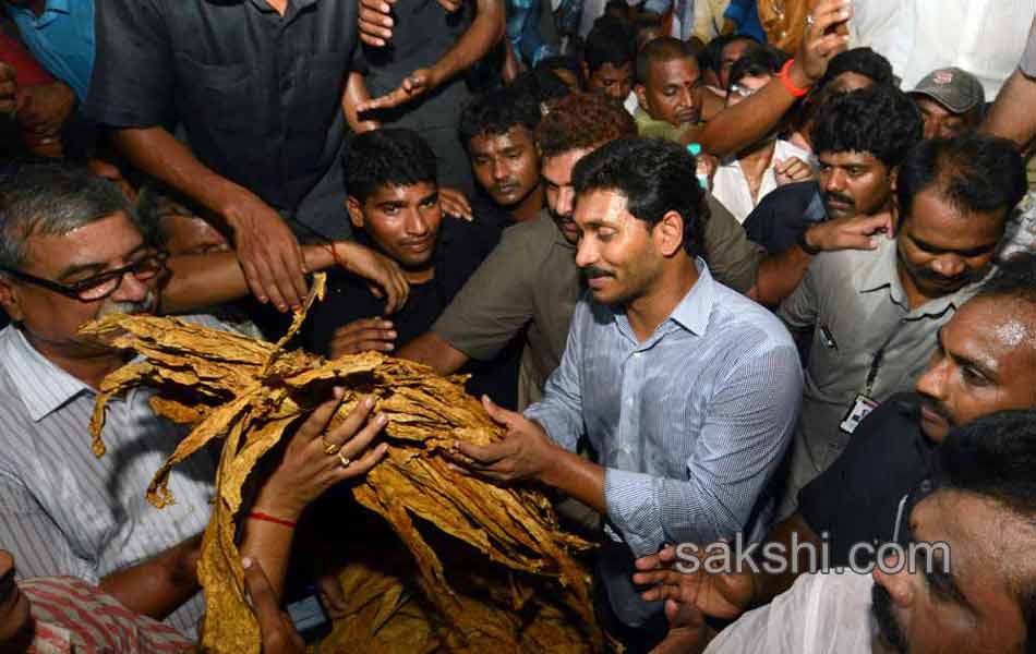 ysjagan mohan reddy tour in west godavar - Sakshi19