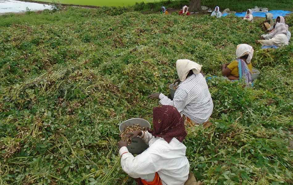 heavy rains swalloed fields - Sakshi6