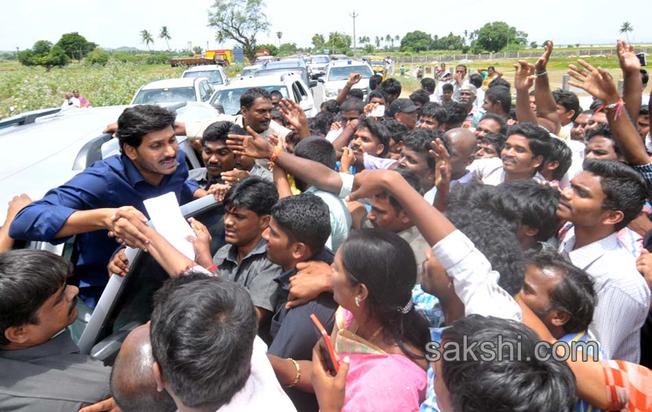 ys jagan yuvabheri in nellore - Sakshi14