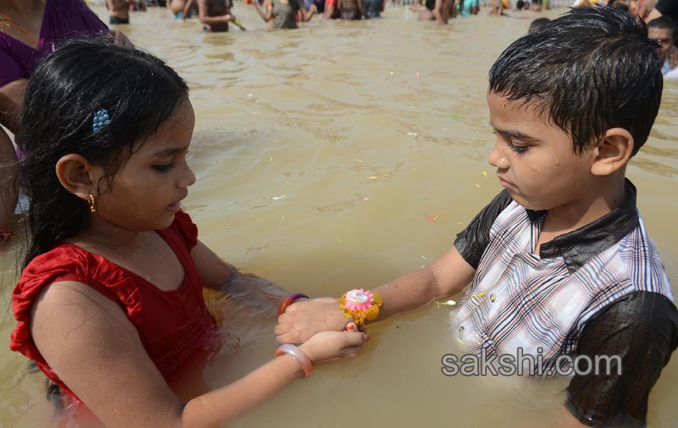 krishna pushkaralu 20167