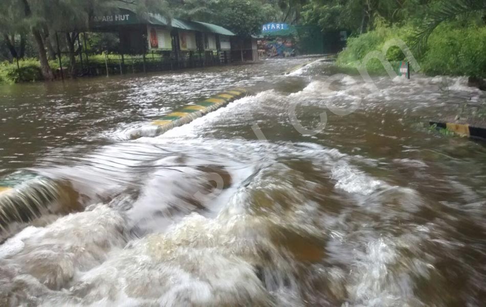 Heavy rains in hyderabad - Sakshi12