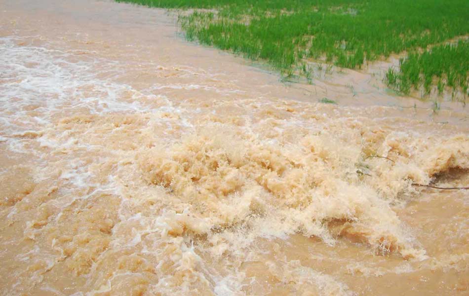 FLOOD IN EAST GODAVARI - Sakshi19