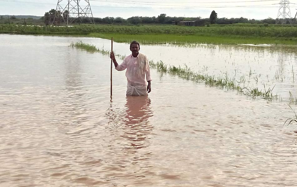 Rain fall remains tears - Sakshi14