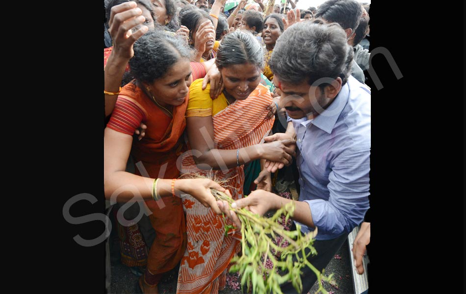 YS Jagan Tour in Guntur District Floods Area - Sakshi18