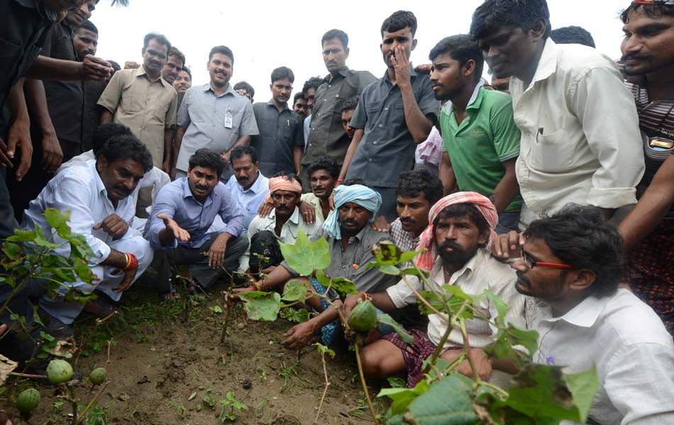 YS Jagan tour - Sakshi3