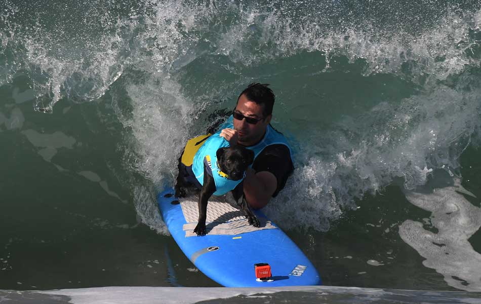 Surf Dog event - Sakshi13