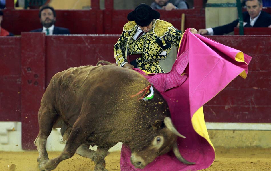 Bull fight festival in spain - Sakshi5