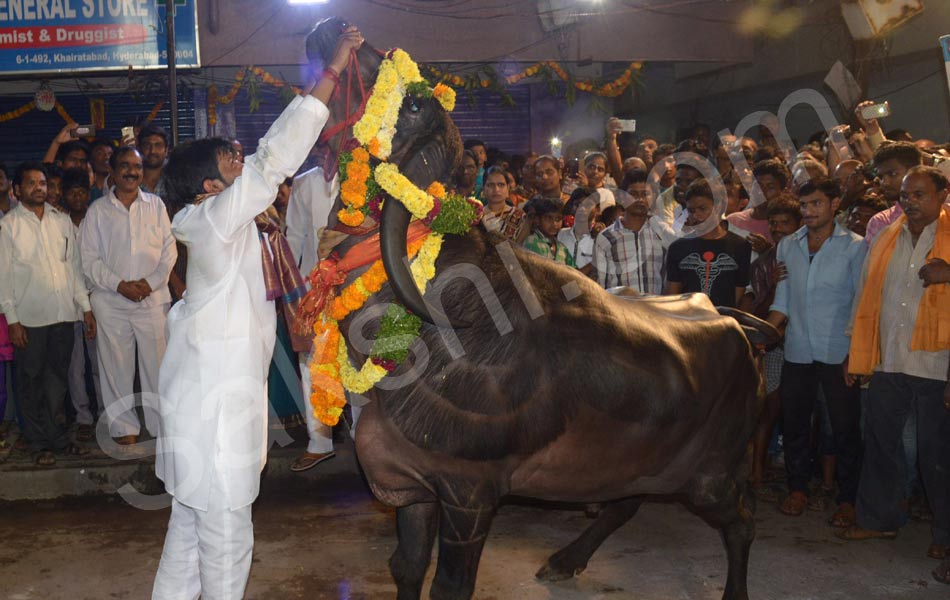 sadar festival in Khairthabad1