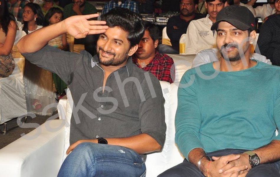 Nanna Nenu Na Boyfriends audio launch6