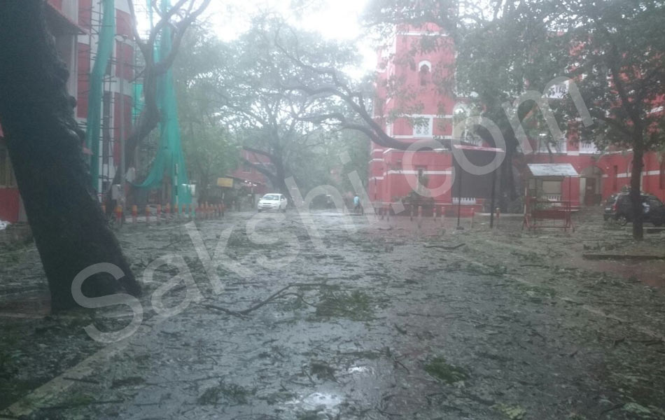 tamil nadu vardah cyclone1