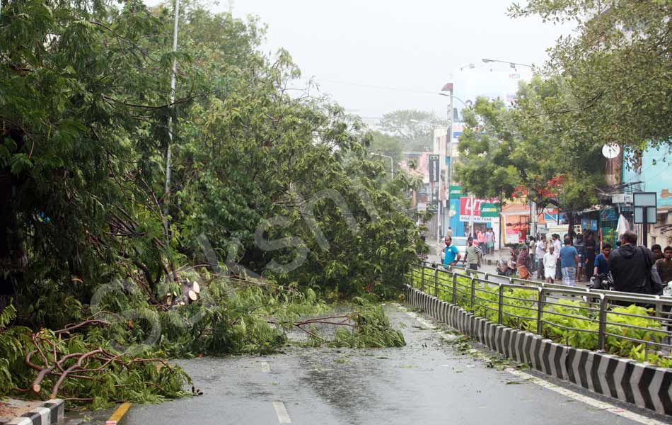 tamil nadu vardah cyclone32