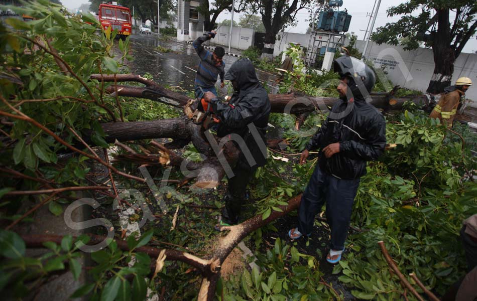 tamil nadu vardah cyclone33