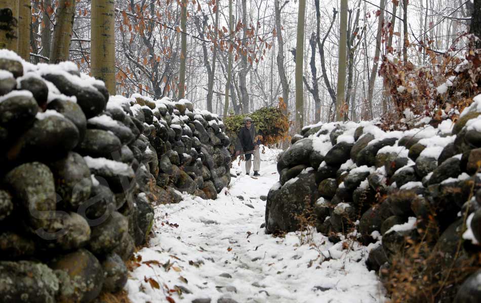 snowfall at North India attracts tourists26