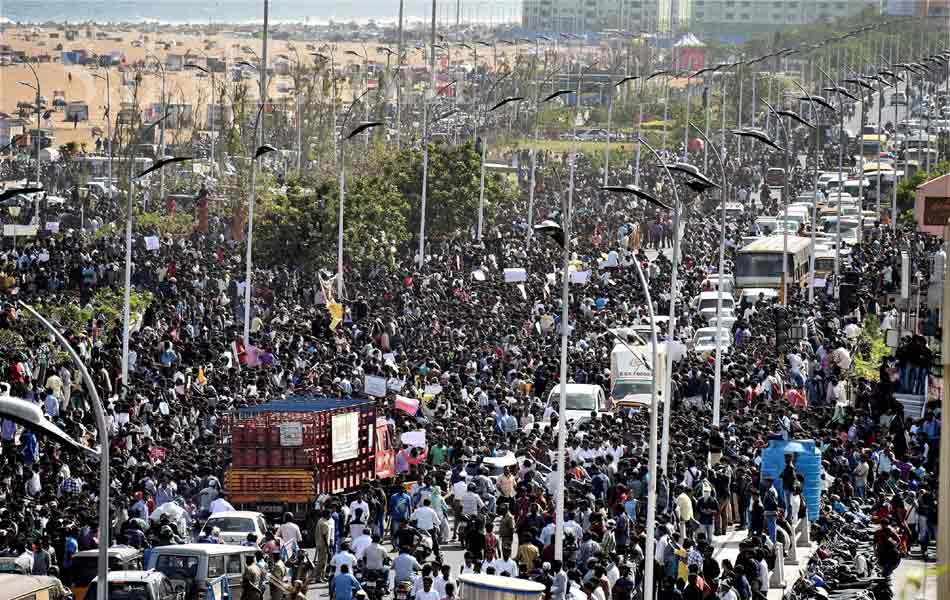 jallikattu in tamil nadu2