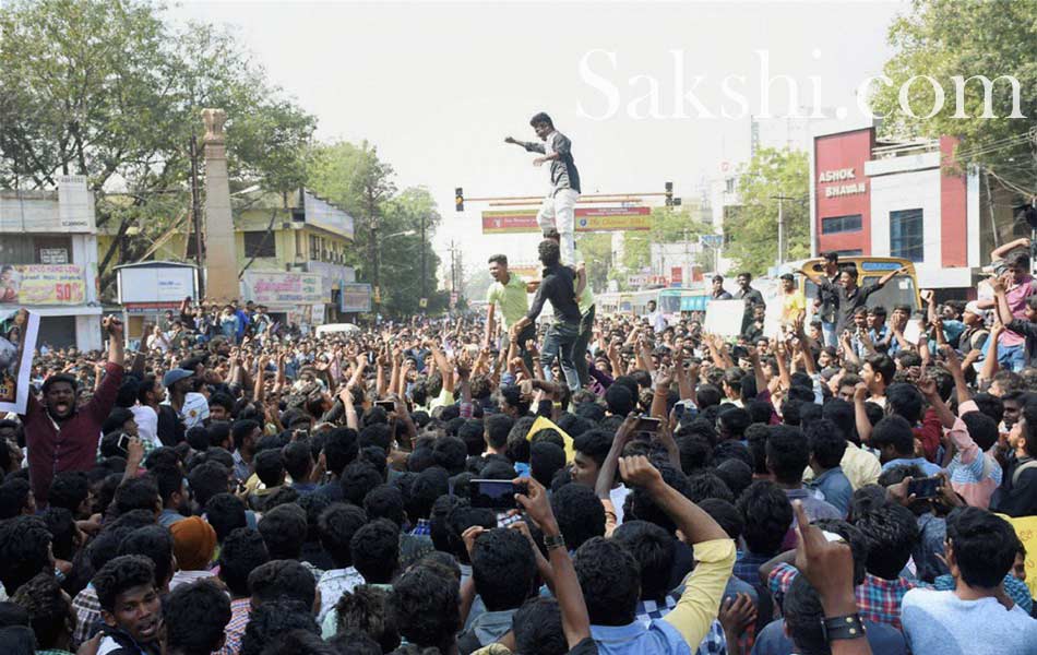 jallikattu in tamil nadu20