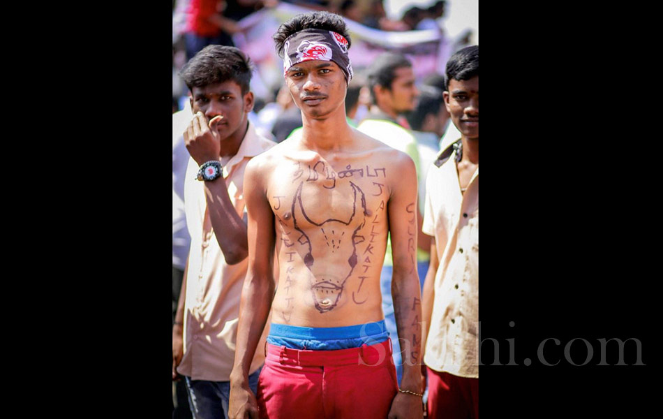 jallikattu in tamil nadu22