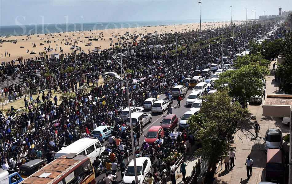 jallikattu in tamil nadu24