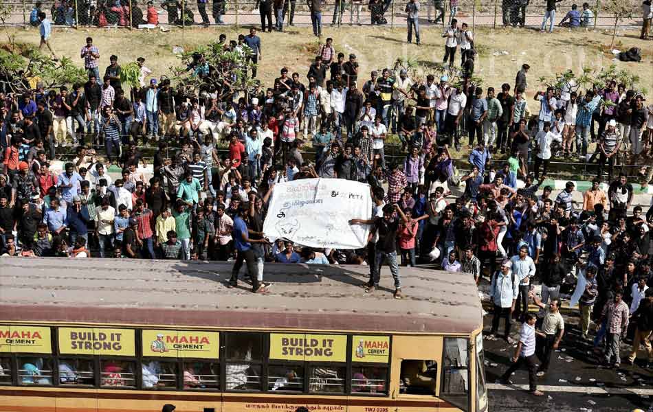 jallikattu in tamil nadu25