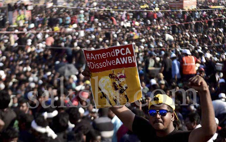 Jallikattu protest - Sakshi2