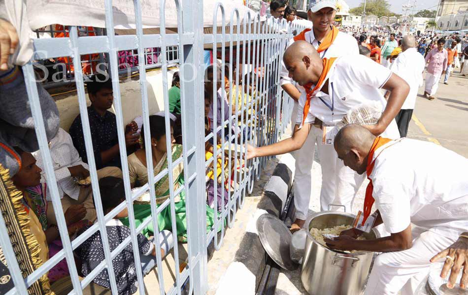 rathasapthami in tirumala24