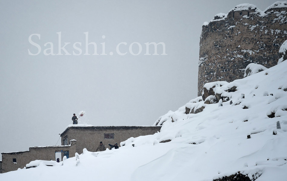 snow laden trees in Kabul4