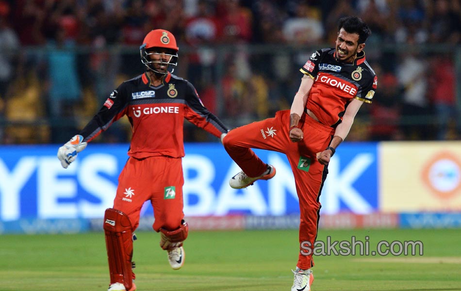 Royal Challengers Bangalore vs Delhi Daredevils9