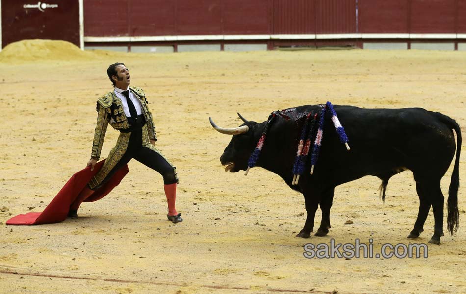 bull fight in spanish - Sakshi1