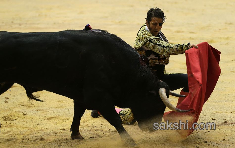 bull fight in spanish - Sakshi4