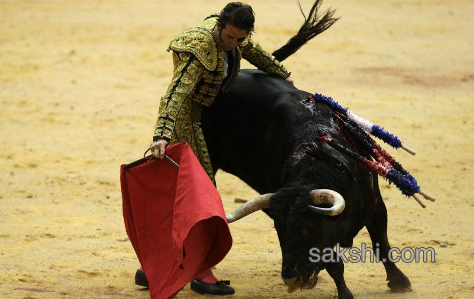 bull fight in spanish - Sakshi5