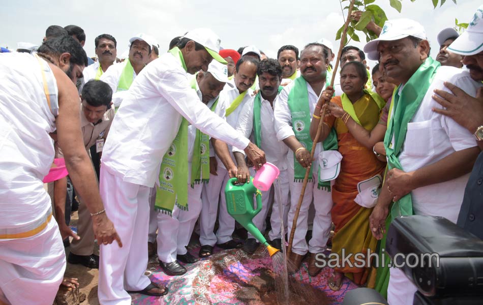 Haritha Haram - Sakshi3