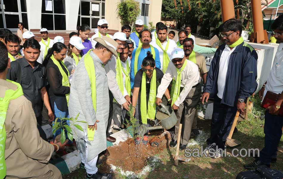 Mithali Raj participate Haritha Haram in lb stadium3