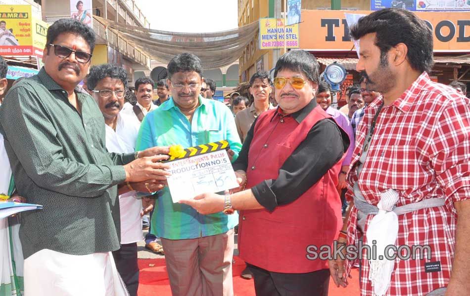 bala krishna new movie opening15