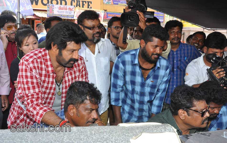 bala krishna new movie opening19