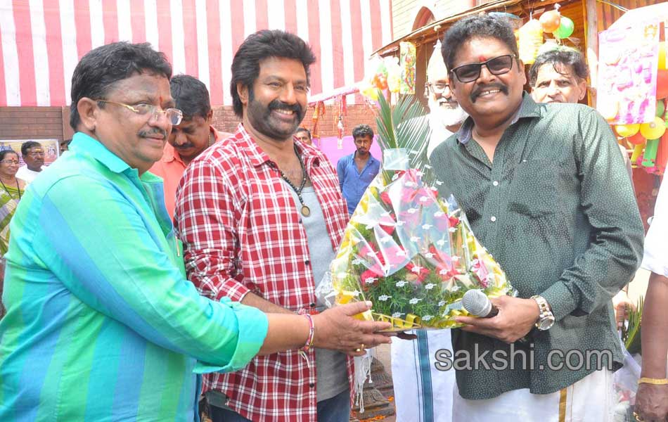 bala krishna new movie opening11