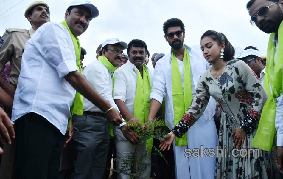 Rana in Haritha Haram - Sakshi3