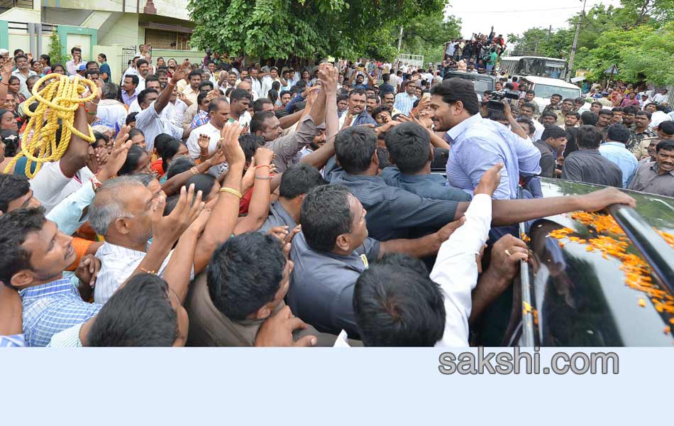 YS Jagan Tour in Nandyal - Sakshi12