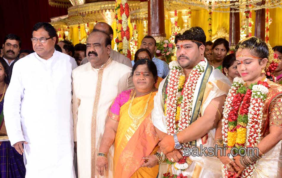 speaker madhusudhana chary son marriage4