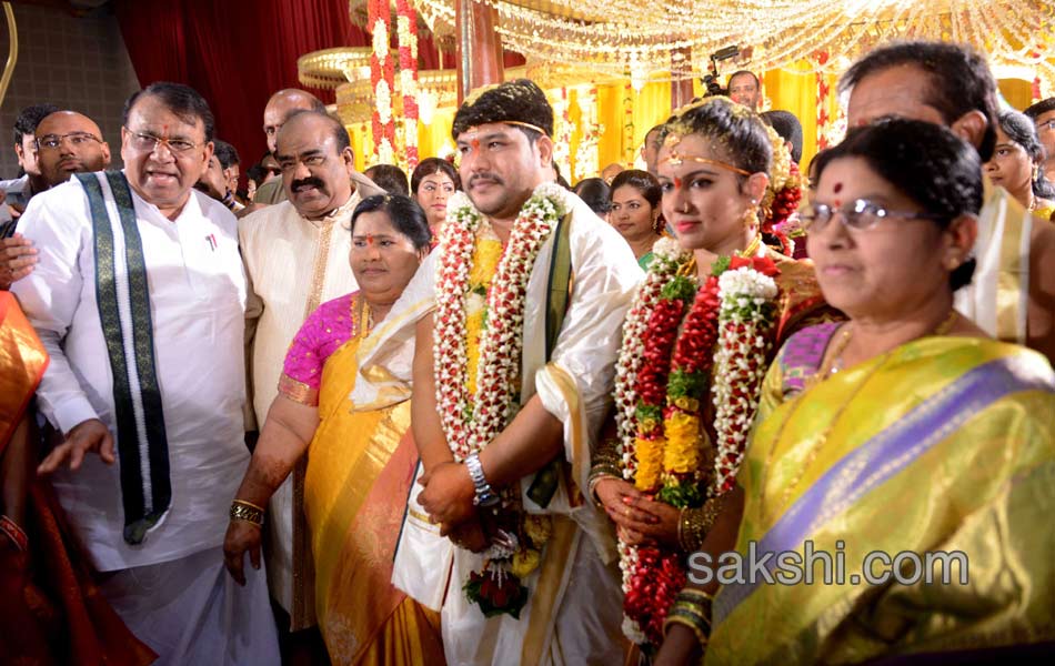 speaker madhusudhana chary son marriage19